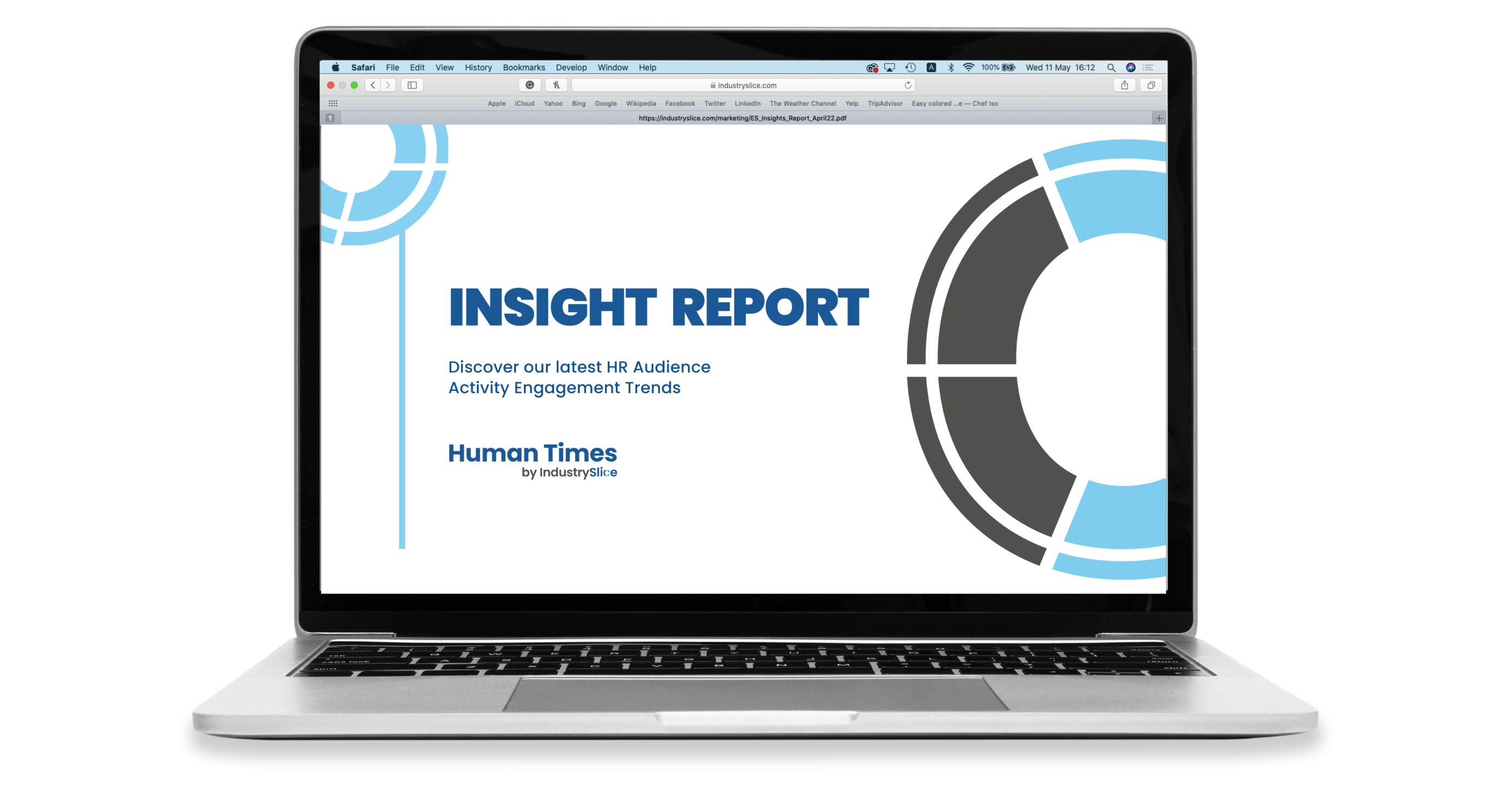 Insight Report Banner